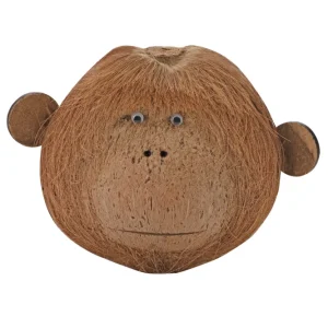 Wochenendangebot Hobby Coco Monkey 2